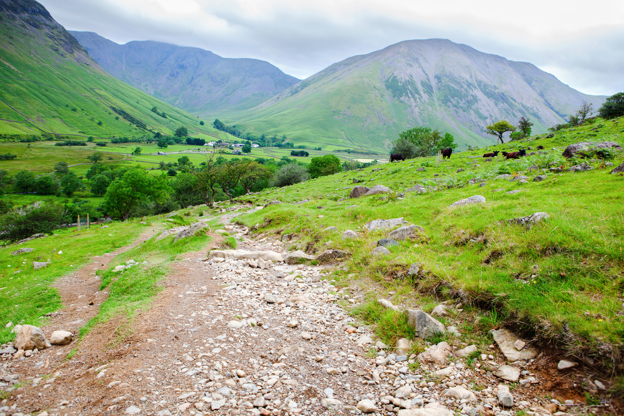 lake district national park (2).webp